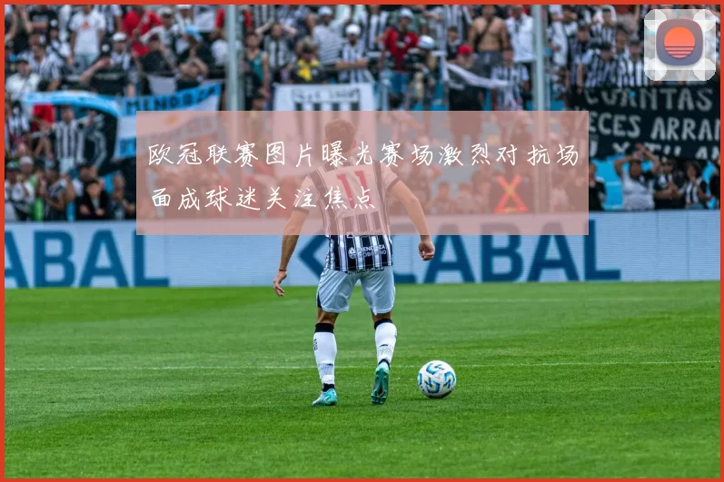 欧冠联赛图片曝光赛场激烈对抗场面成球迷关注焦点