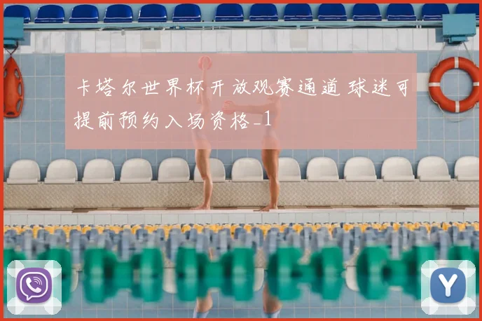 卡塔尔世界杯开放观赛通道 球迷可提前预约入场资格_1