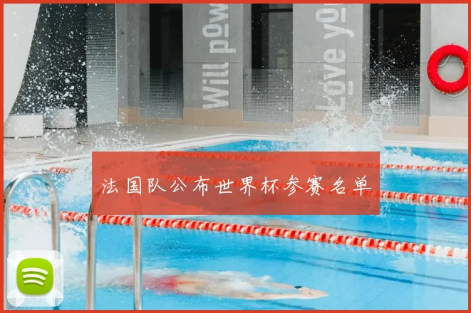法国队公布世界杯参赛名单